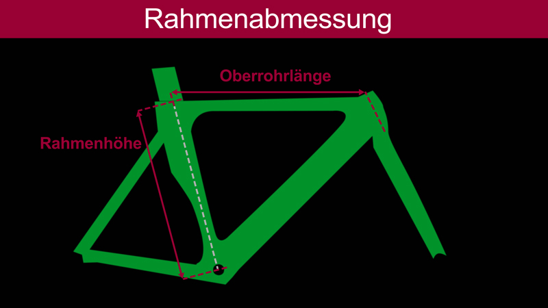 So findest Du die passende Rahmengröße für Rennrad und